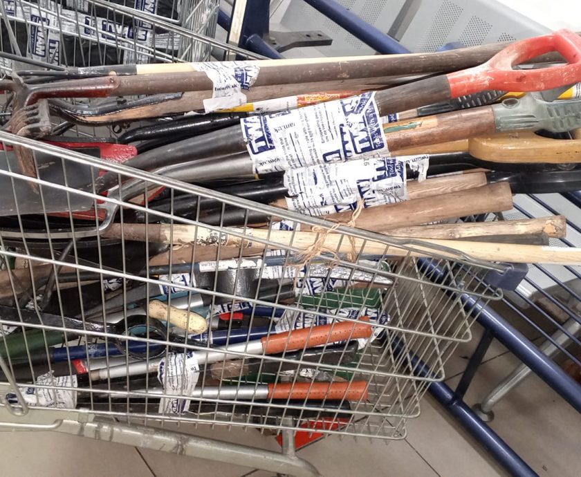 447867484_774022441580778_1481655036928227188_n